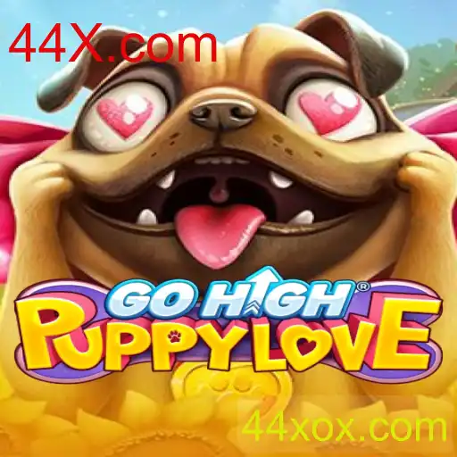 Descubra o Mundo de GoHighPuppyLove: Um Mergulho na Diversão Canina